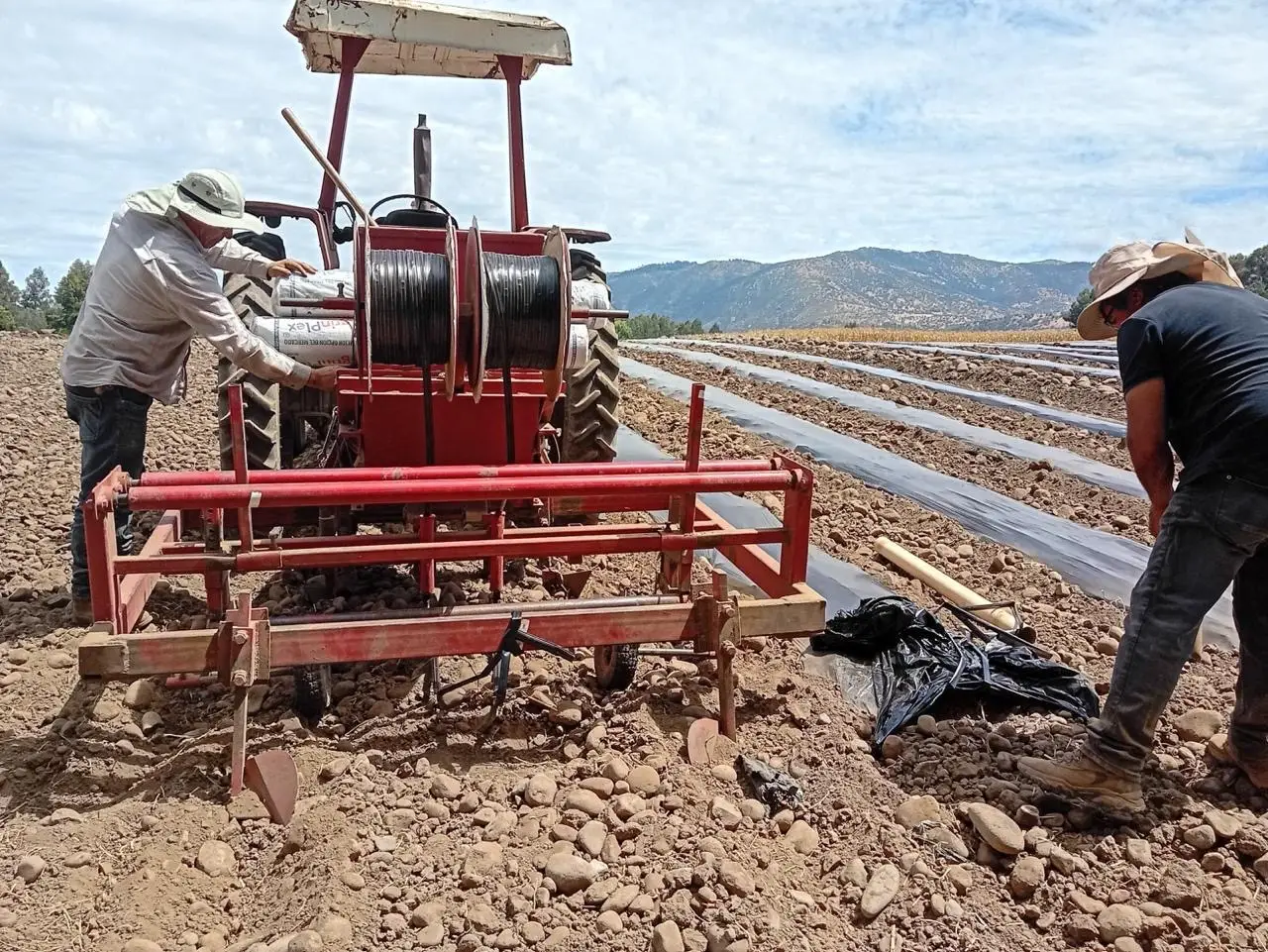 Técnicos de Nutririego instalando cinta de riego en terreno